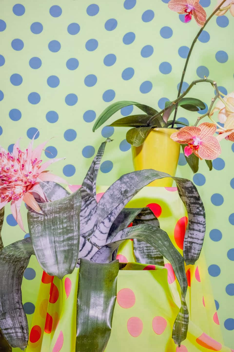 Giving Entry at NAMARA projects